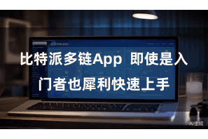 比特派多链App 即使是入门者也犀利快速上手